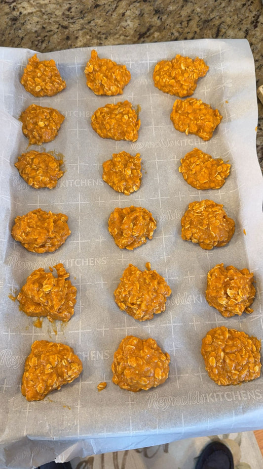 Pumpkin Banana Dog Treat